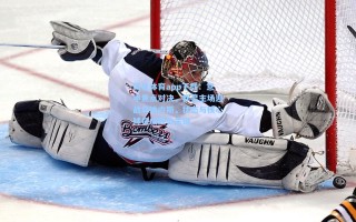 海星体育app下载：意甲焦点对决，都灵主场迎战乌迪内斯，状态与核心球员成胜负关键