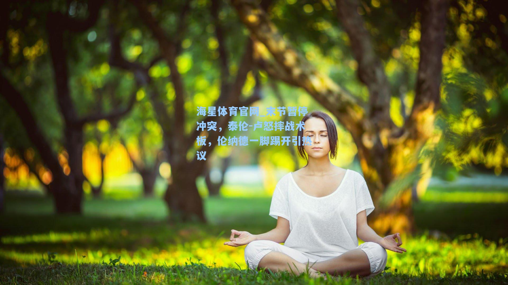 海星体育官网_末节暂停冲突，泰伦-卢怒摔战术板，伦纳德一脚踢开引热议-第1张图片-海星体育-全球体育赛事直播与实时比分平台